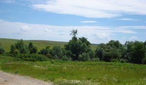 Predaj stavebného pozemku 15 km od KE – šarišské bohdanovce – medzi KE a PO