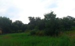 Stavebný pozemok - Bukovec, 720 m2, 23 m šírka – fotka 2