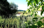 Stavebný pozemok na predaj, Trenčín, Skalka nad Váhom 694 m2 – fotka 2