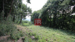 PREDAJ, Rekreačný pozemok, Borinka – fotka 3