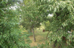 Predáme stavebný pozemok 900 m2, Zamarovce. – fotka 2