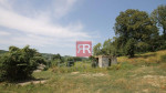 PREDAJ, Stavebný pozemok, Borinka – fotka 2