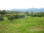 Stavebny pozemok 8341 m2 , okraj dediny Turč. Štiavnička – fotka 3
