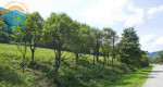 Na predaj rekreačné pozemky, 2300 m2, Drietoma - Brúsne – fotka 2