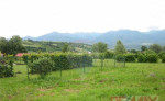 Stavebny pozemok 8341 m2 s pekným vyhľadom, Turč. Štiavnička – fotka 2