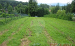 Stavebny pozemok 8341 m2 s pekným vyhľadom, Turč. Štiavnička – fotka 4