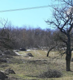 SP Veľký Šariš, 2517m2 – fotka 3