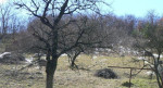 SP Veľký Šariš, 2517m2 – fotka 4