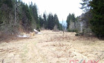 Predaj pozemku 2240 m2 v obci Raková - Korchaň – fotka 3