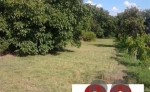 Na predaj pekný stavebný pozemok na Zemplinskej Šírave oblasť Slnečný lúč – fotka 4