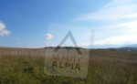 Pozemok vhodný aj na bungalov, /2365 m2/, Žilina-Bitarová 7668 – fotka 3