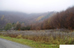 Pozemky s kúskom lesa - 6.039 m2 - možnosť parcelácie - Zlatá Baňa – fotka 2