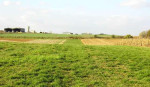 Pozemok na predaj, 4.801 m2, Lužianky, okr. Nitra – fotka 2