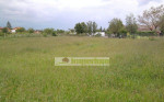 Predáme stavebný pozemok, Horné Saliby, okr. Galanta – fotka 3
