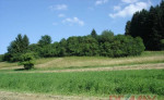 Pozemok belá-dulice – fotka 2
