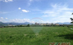 Stavebný pozemok 12221 m2 pre developera, mt-priekopa – fotka 2