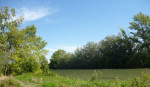 Predaj pozemku 1860m2 v Zálesí pri Bratislave – fotka 4