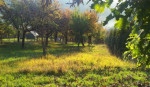 Pozemok turova – fotka 2