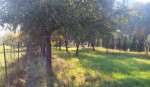 Pozemok turova – fotka 4