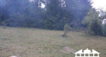 Pekným slnečným pozemkom 1321 m2 s chatkou – fotka 3