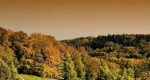 ARTHUR - UPTOWN Koliba - stavebný pozemok, 787 m2 – fotka 4