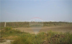 = RE/MAX = predaj pozemku, priemysel, obchod, Trnava – fotka 4