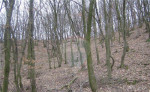 Predaj pozemok, Lošonec – fotka 4