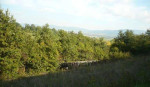 Pozemok - lúka, 2351 m2, Melčice-Lieskové – fotka 4
