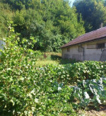 Podnikateľský zámer alebo Rd, sokoľ – fotka 2