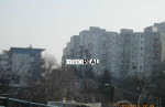 aTRIOREAL - KRASNY SP - 750 M2 - KARLOVA VES. – fotka 3