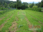 Stavebny pozemok 8341 m2 , okraj dediny Turč. Štiavnička – fotka 4
