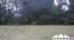 Pekným slnečným pozemkom 1321 m2 s chatkou – fotka 3