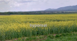 Pozemok pre development, Prešov – fotka 3
