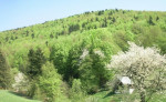 STAV. POZEMOK MALACHOV S IS za 29, -€/M2 – fotka 3