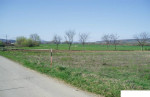 Pozemok: 3.184 m2, intravilán - Drienovská Nová Ves – fotka 2