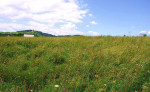 Pozemok na predaj, Levoča – fotka 2