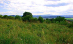 Pozemok na predaj, Levoča – fotka 3