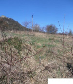 Pozemok: Kapušany, 1.076 m2, zast.územie obce - investícia do budúcna – fotka 3