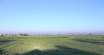 Bošany, pozemok 1218 M2 - 20 EUR/M2 – fotka 2