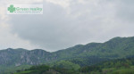 Ponúkame Vám na predaj SP 2776m2 , Súľov-Hradná – fotka 3