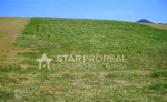 Pozemky 5582 m2 vo Veľkom Šariši – fotka 2