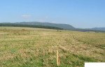 Projekt Dulova Ves:IBV Košariská- NOVÁ STAVEBNÁ PARCELA č.2 - 746 m2 – fotka 4