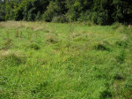 Na predaj stavebný pozemok na výstavbu rodinných domov Krupina – Nová Hora -Drahy 5550 m2 – fotka 2